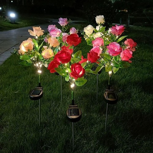 Heads solar power rose - solar,